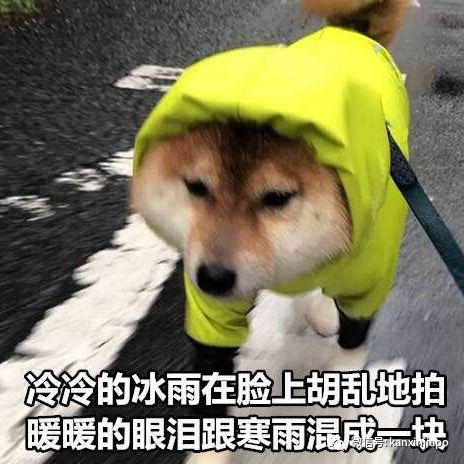 任性還是犯懶？一天可能下三場雨的新加坡，有37%的人表示從來不帶傘