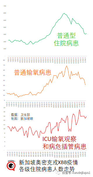 衛生部改爲發布過去七天移動平均數據；新加坡冠病病死率爲全球最低之一