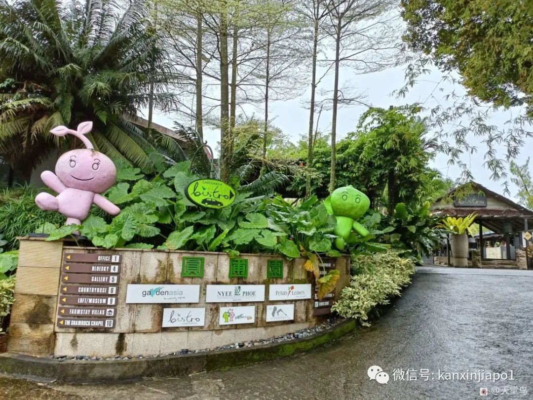 新加坡周末農場集市又來了，還嘗到了菠菜冰淇淋