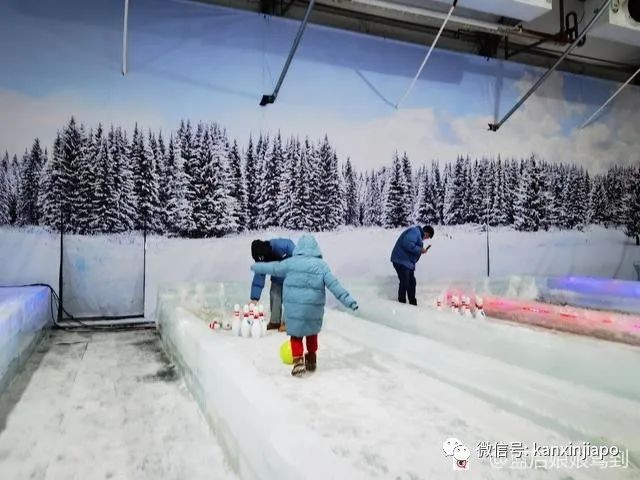 “在沒有冬季的新加坡，我卻在這裏與孩子在雪地裏玩耍”