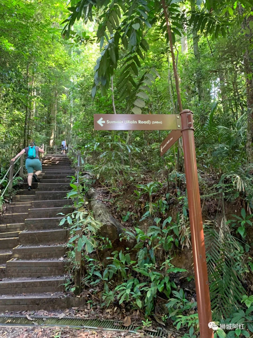 “我登上了新加坡的最高峰，還看到了九寨溝”