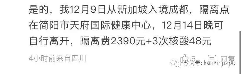 最新！來自首批經曆者：新加坡飛深圳和成都實錘5+3