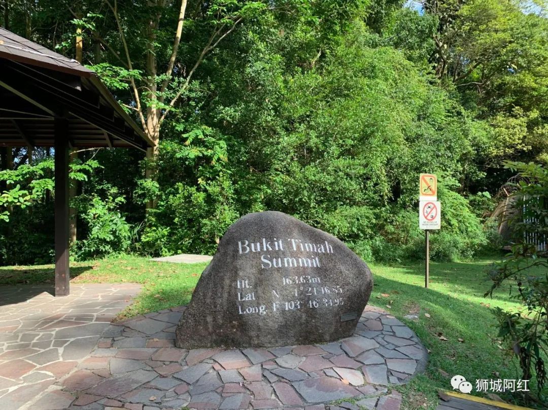 “我登上了新加坡的最高峰，還看到了九寨溝”