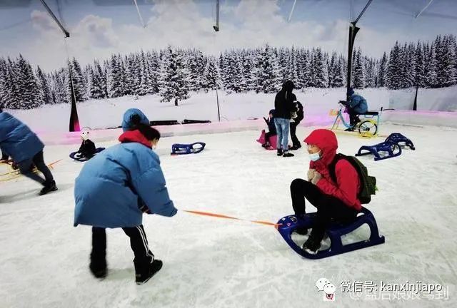 “在沒有冬季的新加坡，我卻在這裏與孩子在雪地裏玩耍”