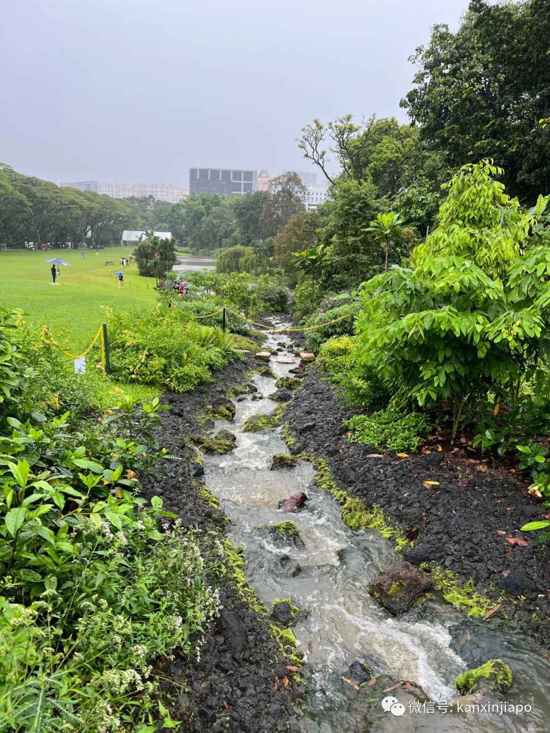 百人冒雨排隊進新加坡總統府！參觀一小時，卻……