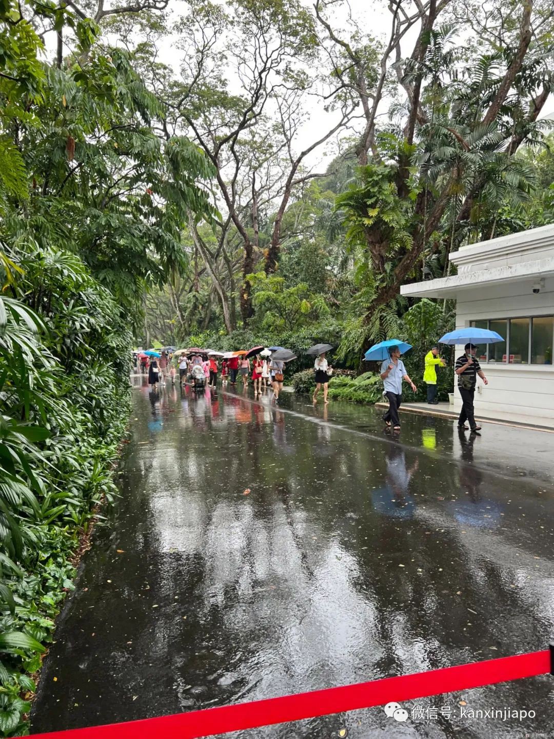 百人冒雨排隊進新加坡總統府！參觀一小時，卻……