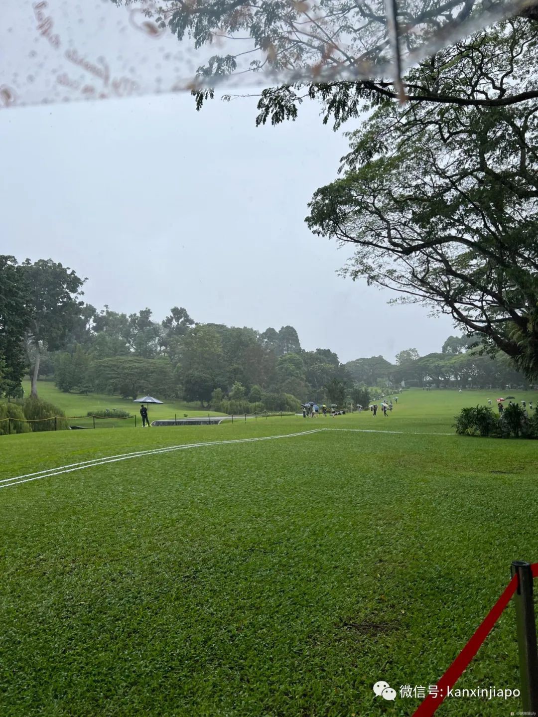 百人冒雨排隊進新加坡總統府！參觀一小時，卻……