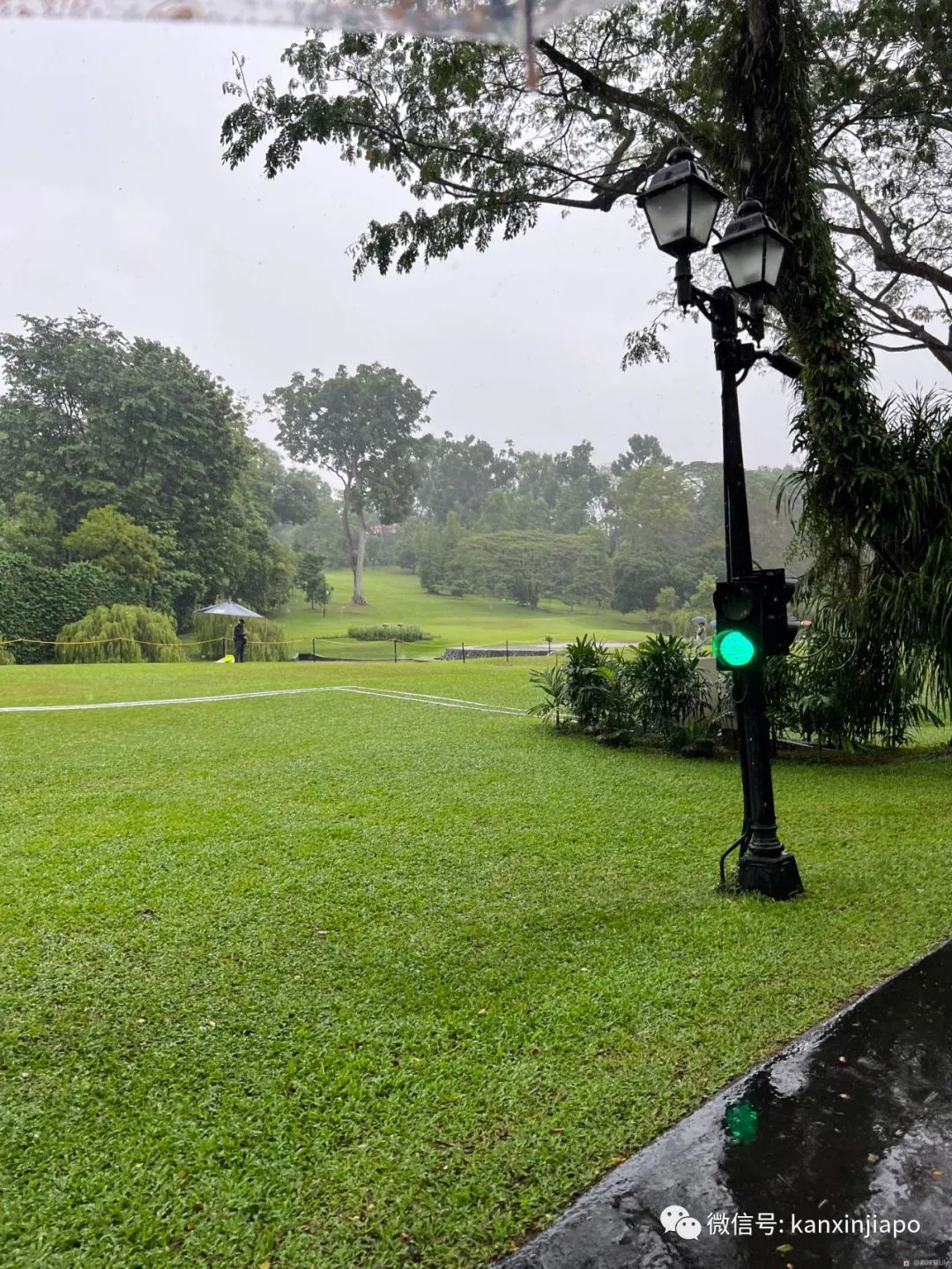 百人冒雨排隊進新加坡總統府！參觀一小時，卻……