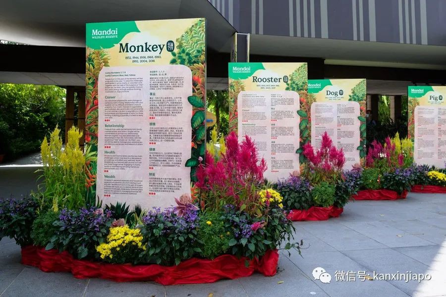 新加坡三大動物園兔年新春活動，野生動物表演，限定美食等你來！