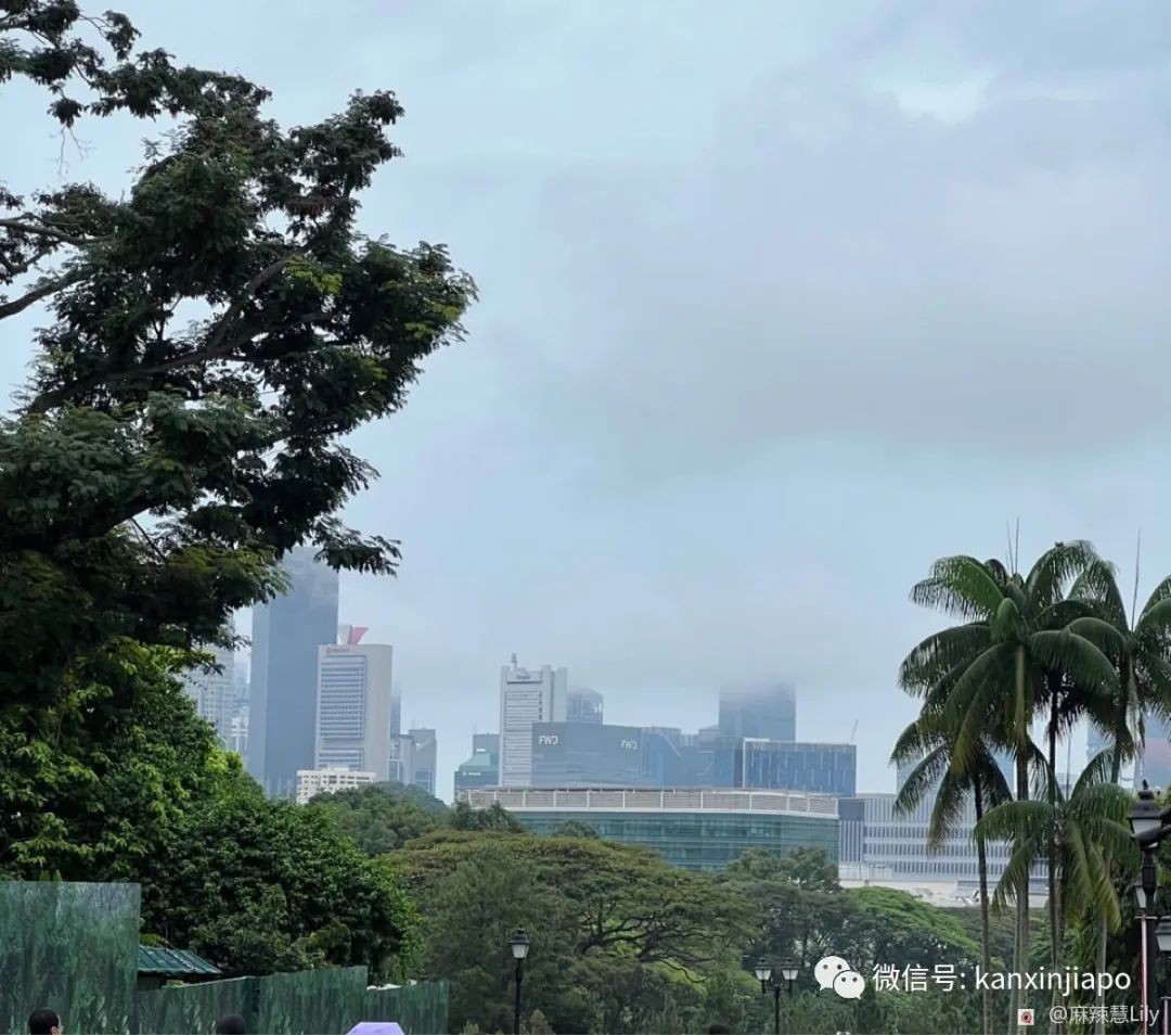 百人冒雨排隊進新加坡總統府！參觀一小時，卻……