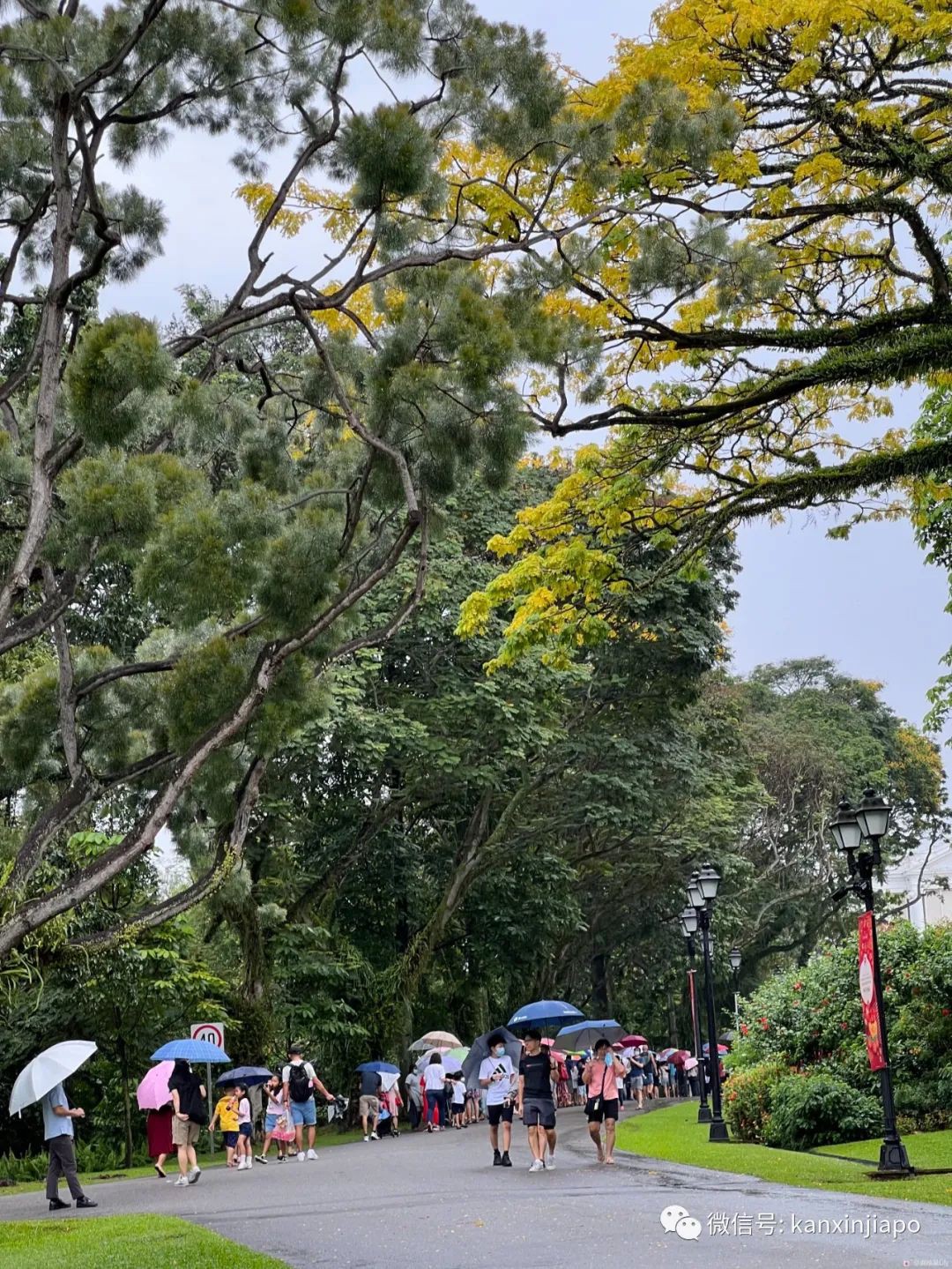 百人冒雨排隊進新加坡總統府！參觀一小時，卻……