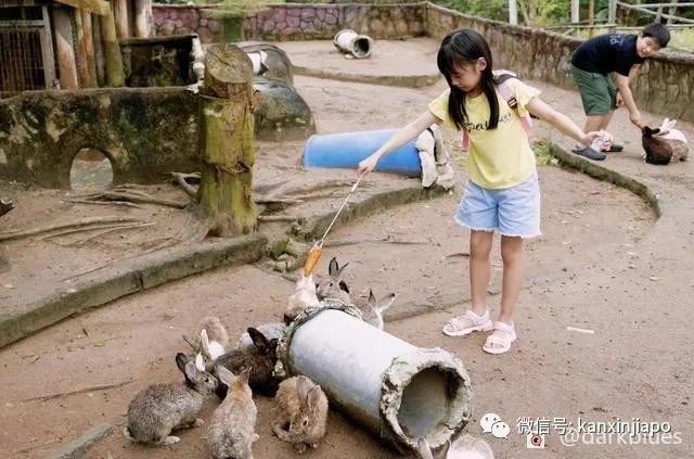 在新加坡“後花園”民丹島住帳篷吃燒烤，圓了遊牧民族的夢