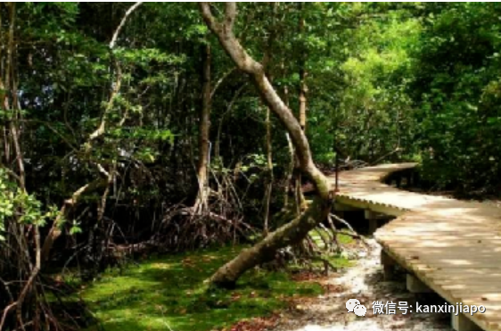 自行車道增建在武吉班讓完成，現在騎車更方便安全了！（附精選騎行路線）