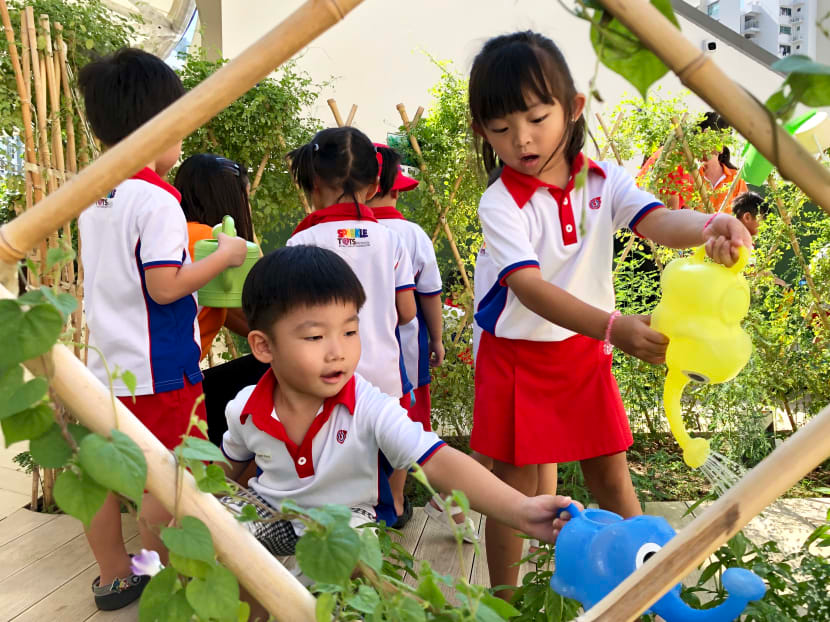 新加坡的幼兒園應該如何選擇？看完這篇你就明白了