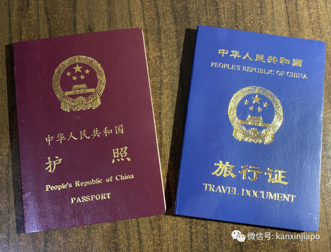 如何办理中国护照和旅行签证？驻新大使馆权威解答来了