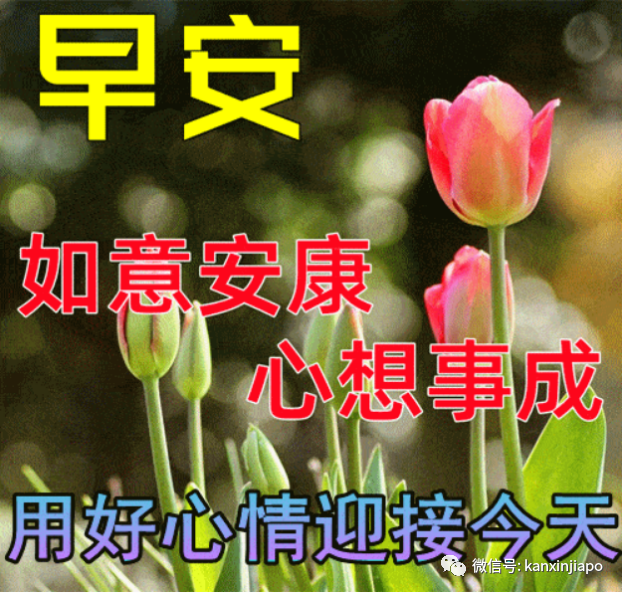 爲拉客出大招！新加坡濱海灣花園推出“中老年表情包”