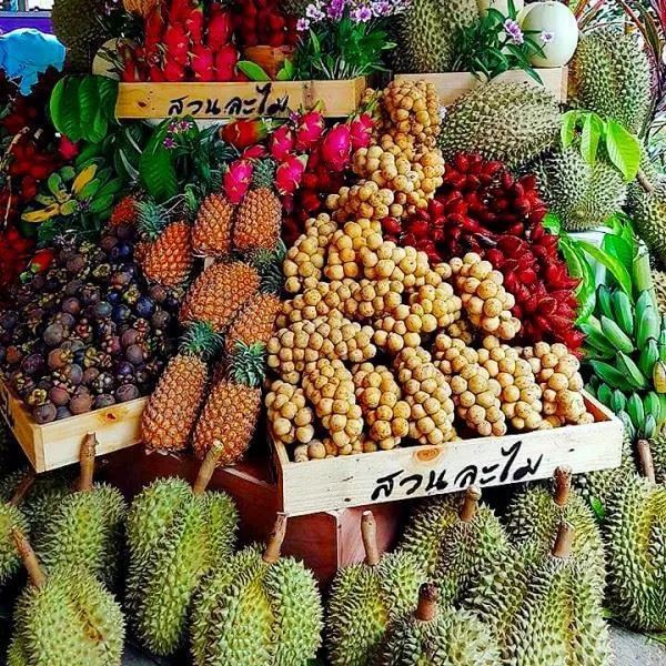 今年夏天，到泰国体验水果自助的快乐！