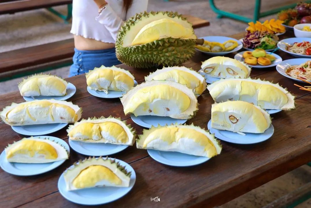今年夏天，到泰国体验水果自助的快乐！