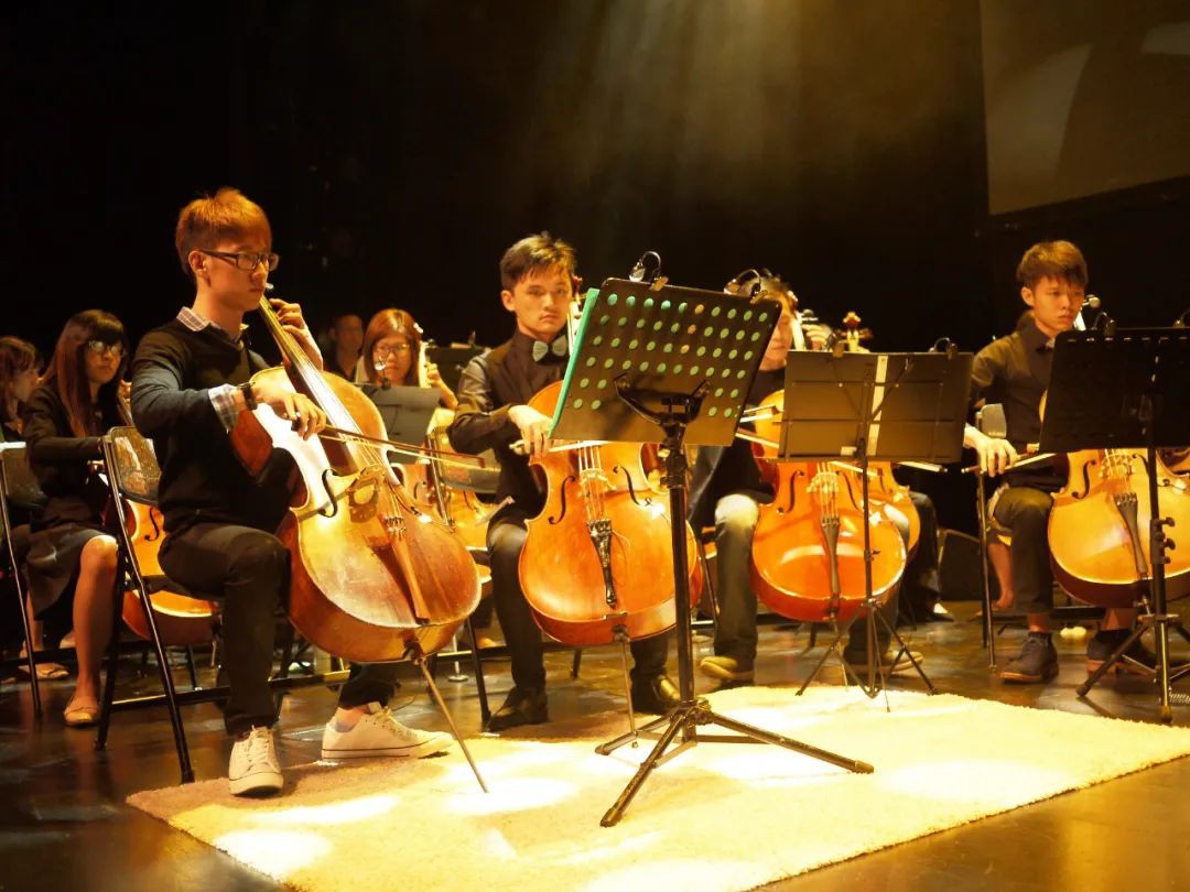 Cellography Celebrates 10th Anniversary With Celebratory Concert