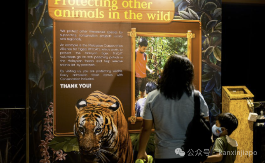 全网最全指南！新加坡万态野生动物世界最新活动，持续到9月
