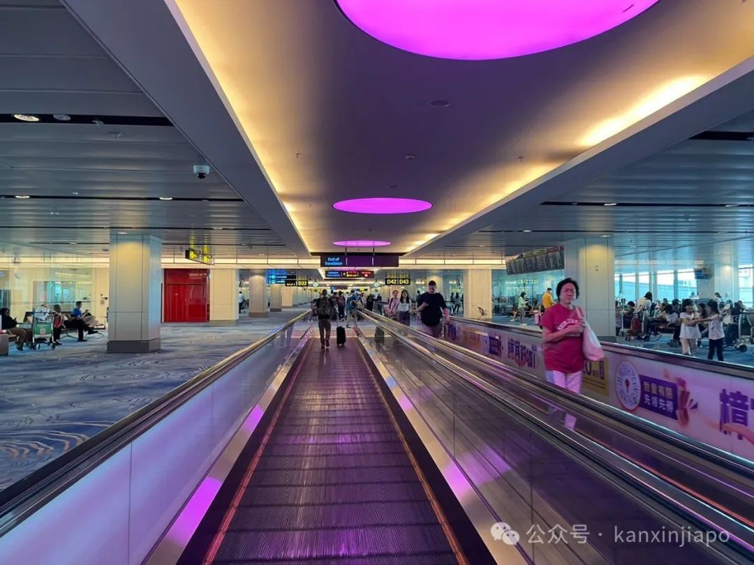 落地新加坡后，被传说中的樟宜机场吸引了