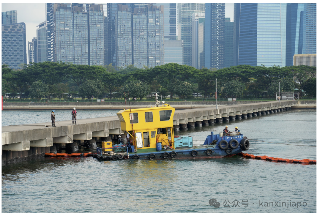 新加坡燃油泄露事故新进展！部分水域油污已清理，这些沙滩已开放