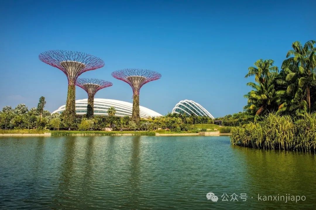 新加坡出了亚洲第一景点，猜猜是哪里？